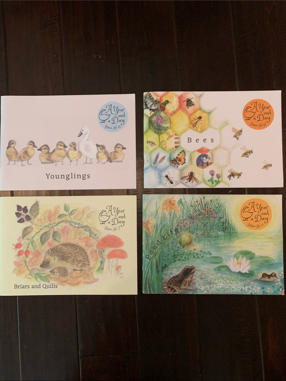 Set of A Year and a Day Magazines